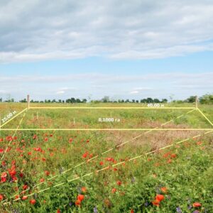 приватизувати землю