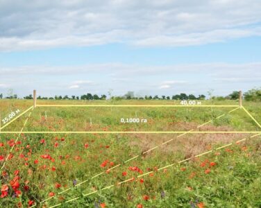 Ніколи не купуйте ділянку біля лісу або води