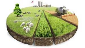 приватизувати ділянку київська область