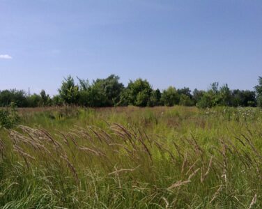 Obtaining land for the UBD