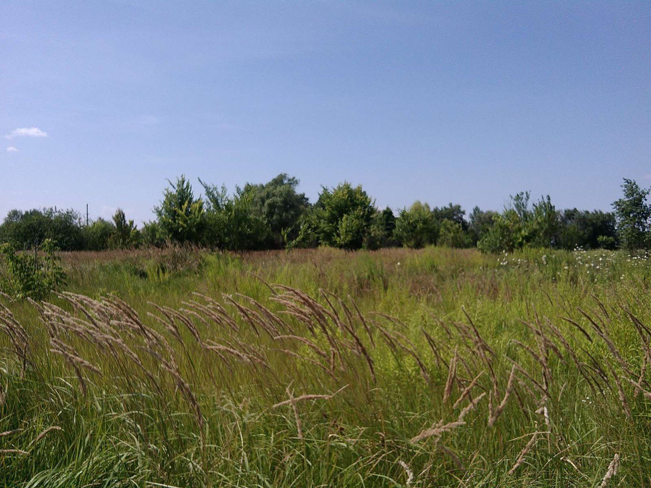 Obtaining land for the UBD