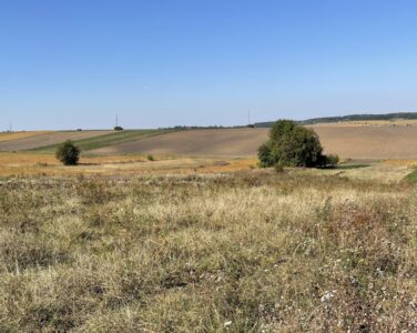 Extract from the SLC