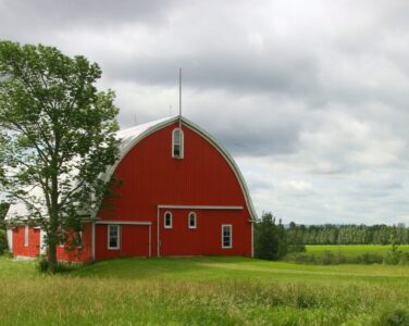 Lawyer on land issues