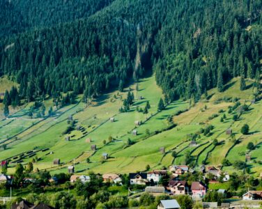 How to Re-register a Land Plot