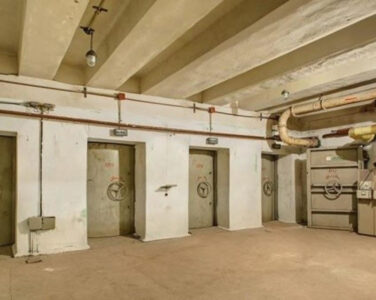 Commissioning of a Dual-Purpose Facility (DPF)