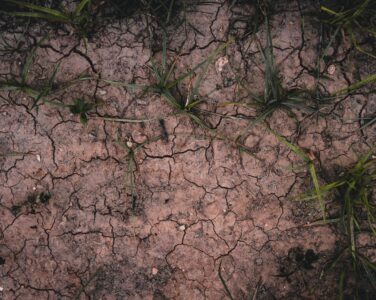 How to Change the Designated Use of a Land Plot