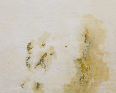 Persistent Basement Dampness: What It Means and How to Resolve the Problem