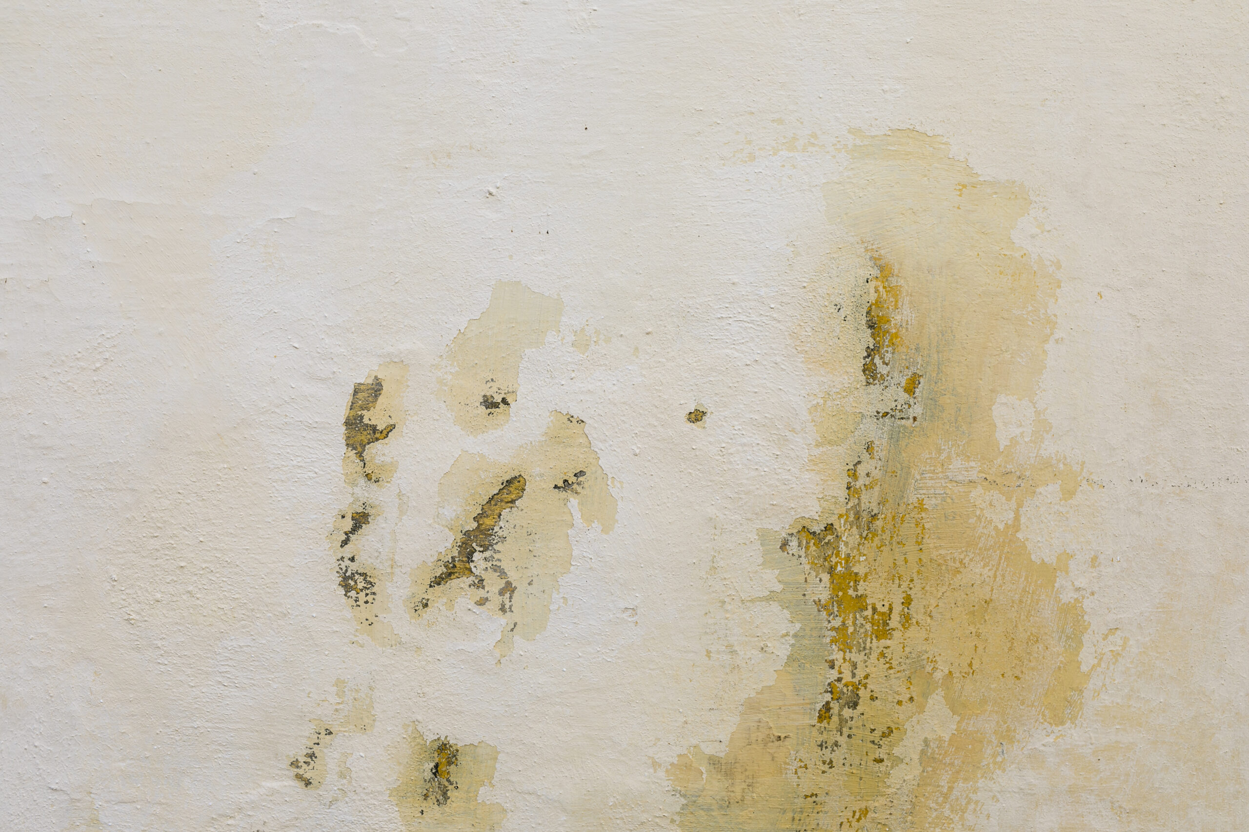 Persistent Basement Dampness: What It Means and How to Resolve the Problem