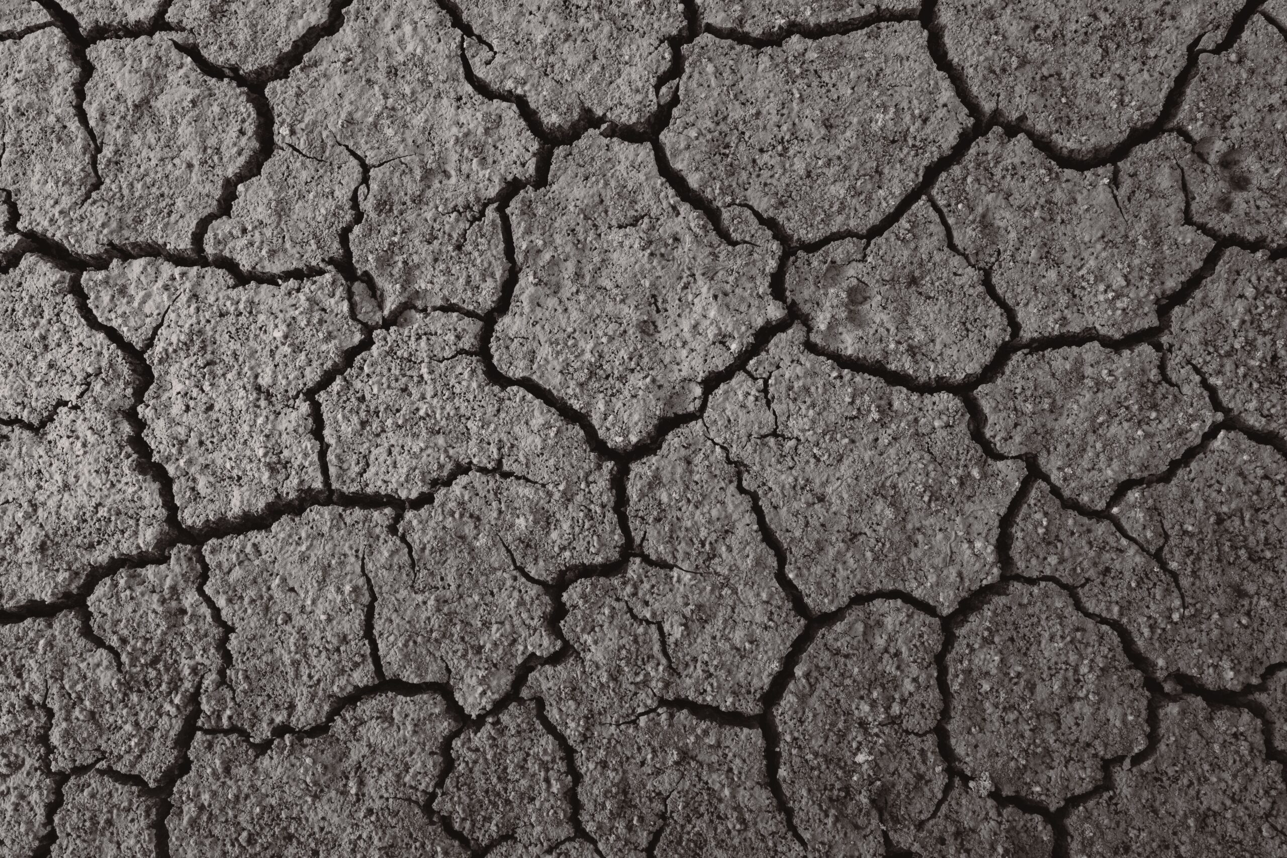 Cracks in Facade Thermal Insulation: Causes, Diagnostics, and Repair Methods
