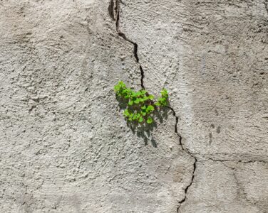 Vertical Cracks in Building Walls: Is It Dangerous and How Should an Owner Act?