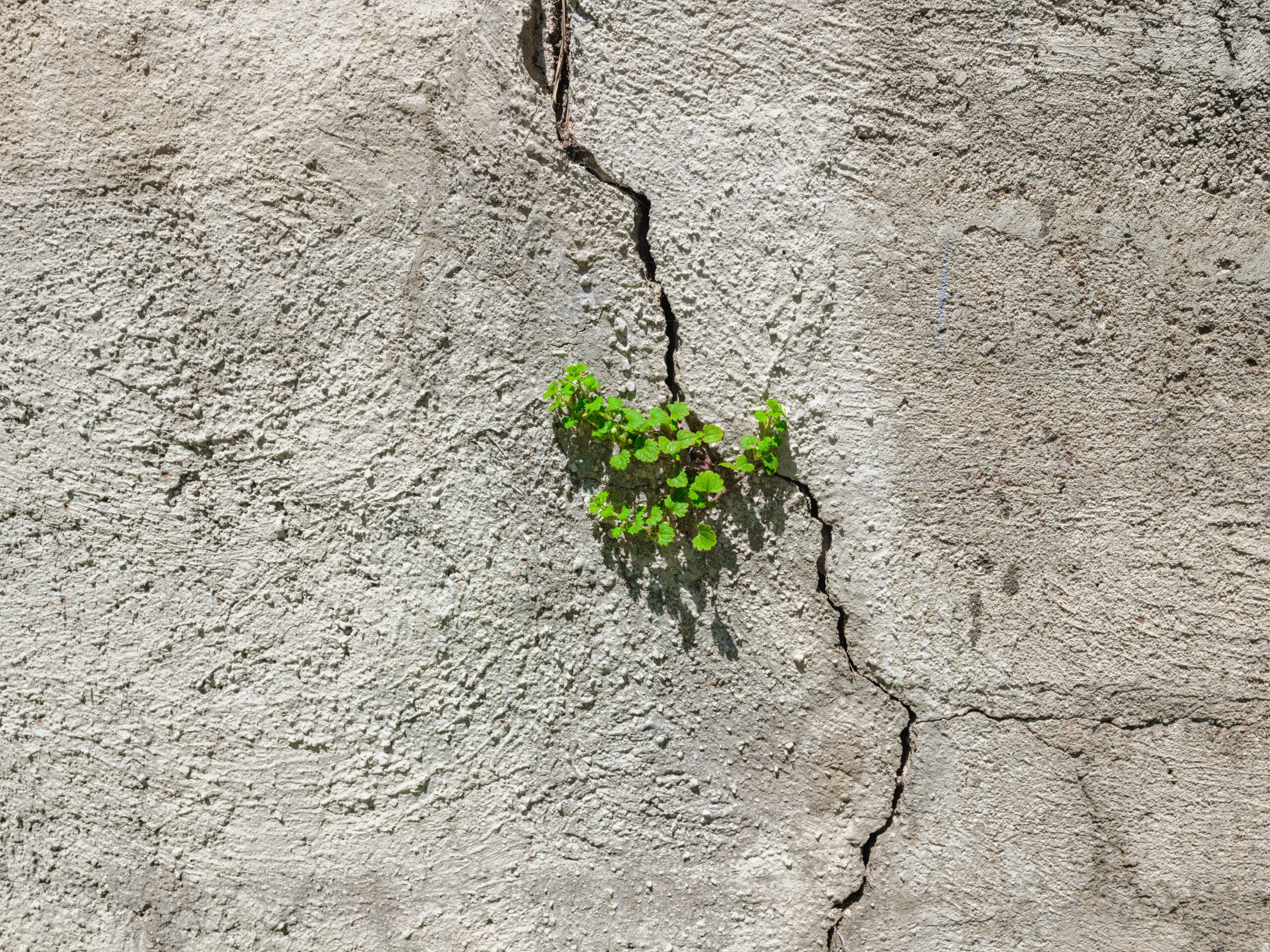 Vertical Cracks in Building Walls: Is It Dangerous and How Should an Owner Act?
