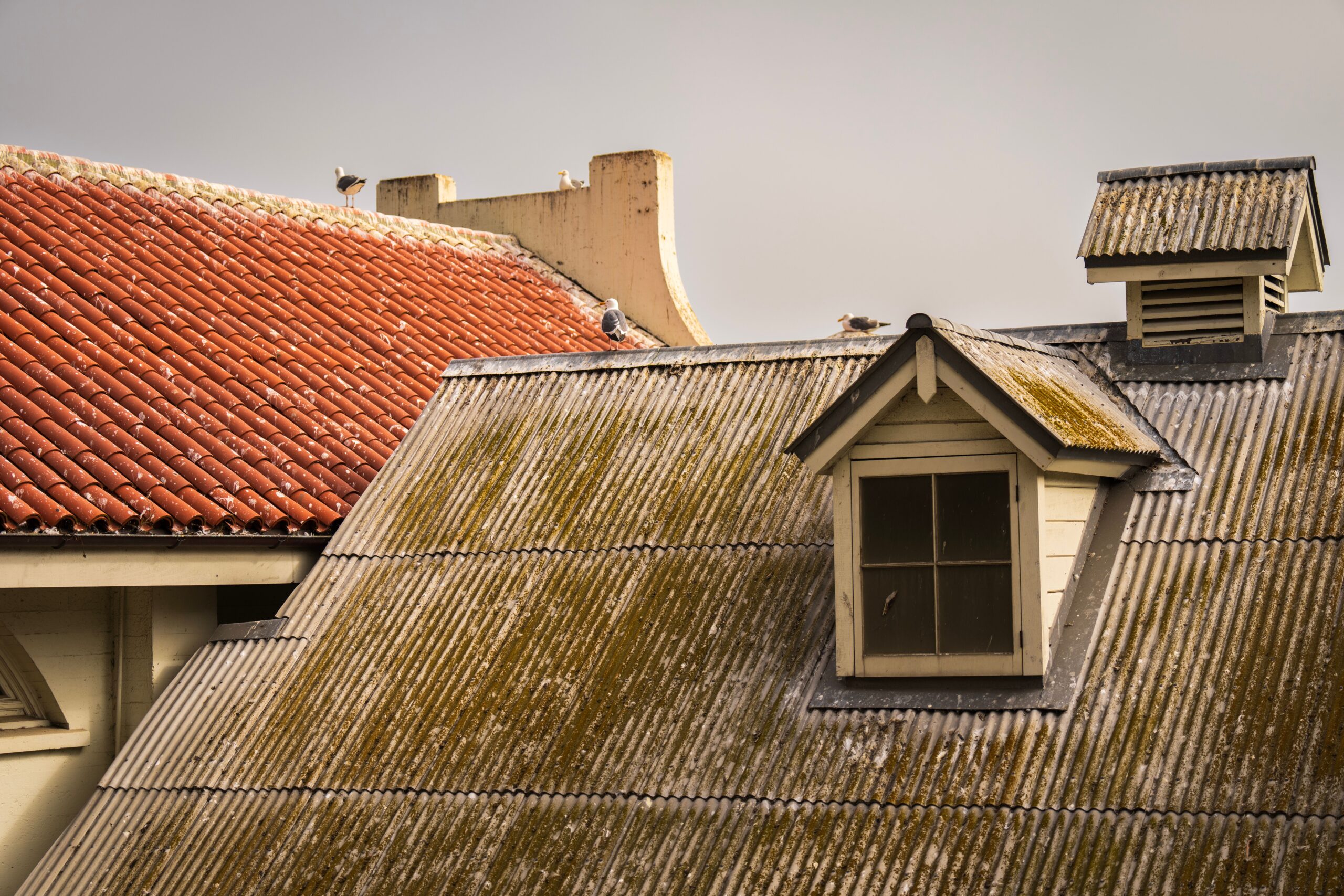 Roof Waterproofing Failure: Impact on the Building