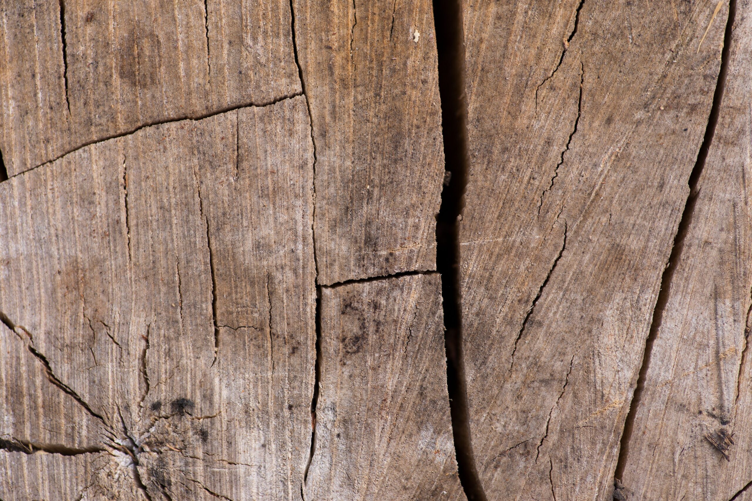 Building Deformation After Remodeling: When Renovation Changes Become a Threat