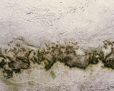 Building Damage After Flooding: How to Assess Damages and Save the Structure