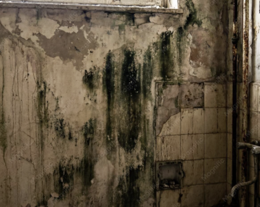 Deterioration of Concrete Basement Walls: How to Assess Structural Condition and Save the Building